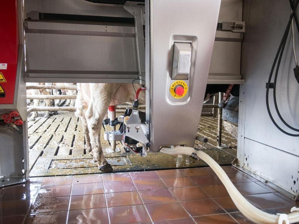 Ferienwohnung Sonnenaufgangsgenuss Harriersand Schwanewede 外观 照片