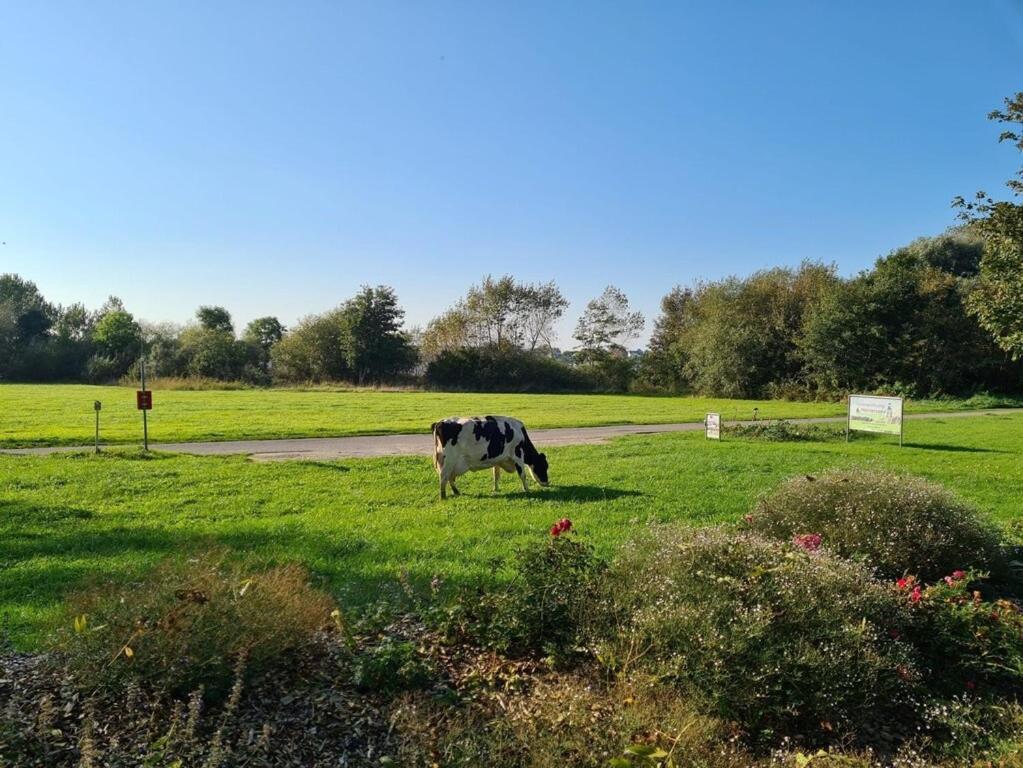Ferienwohnung Sonnenaufgangsgenuss Harriersand Schwanewede 外观 照片